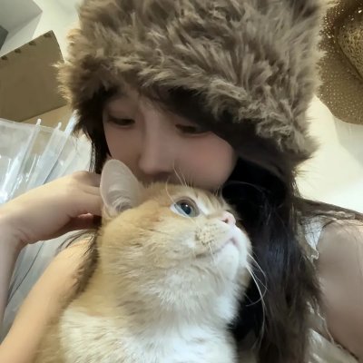 追鹰日记